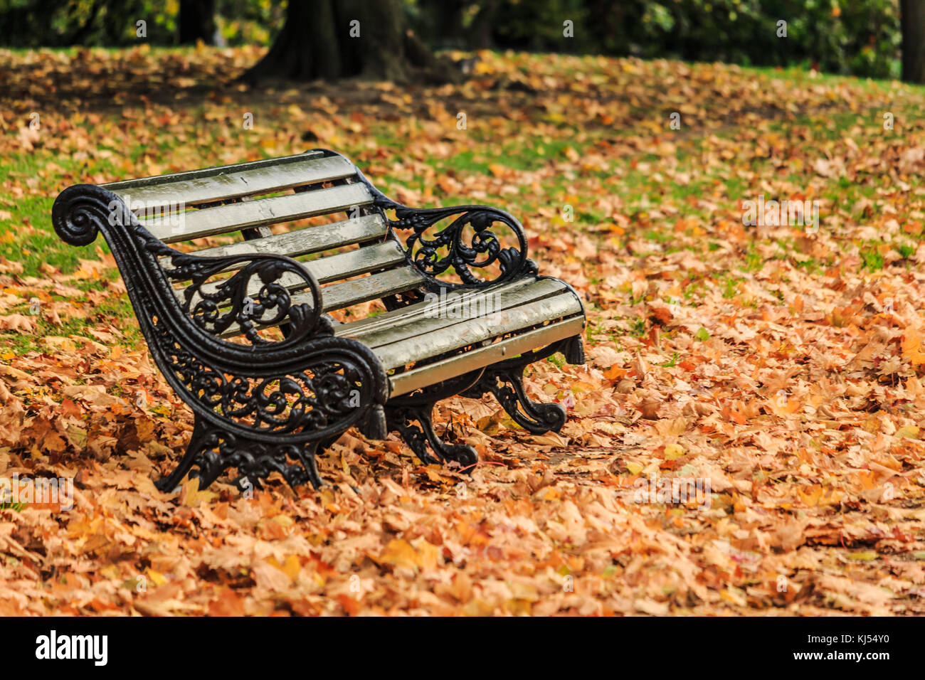 Beautiful autumn scene with an empty park bench surrounded by fallen leaves. Stock Photo