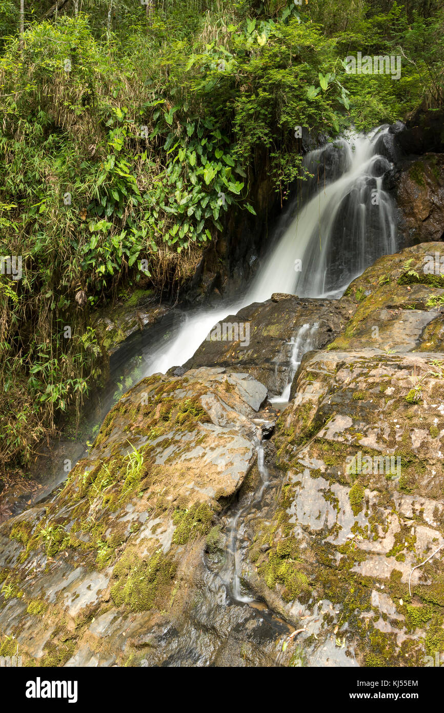 waterfall among the rocks in the forest vertical Stock Photo - Alamy
