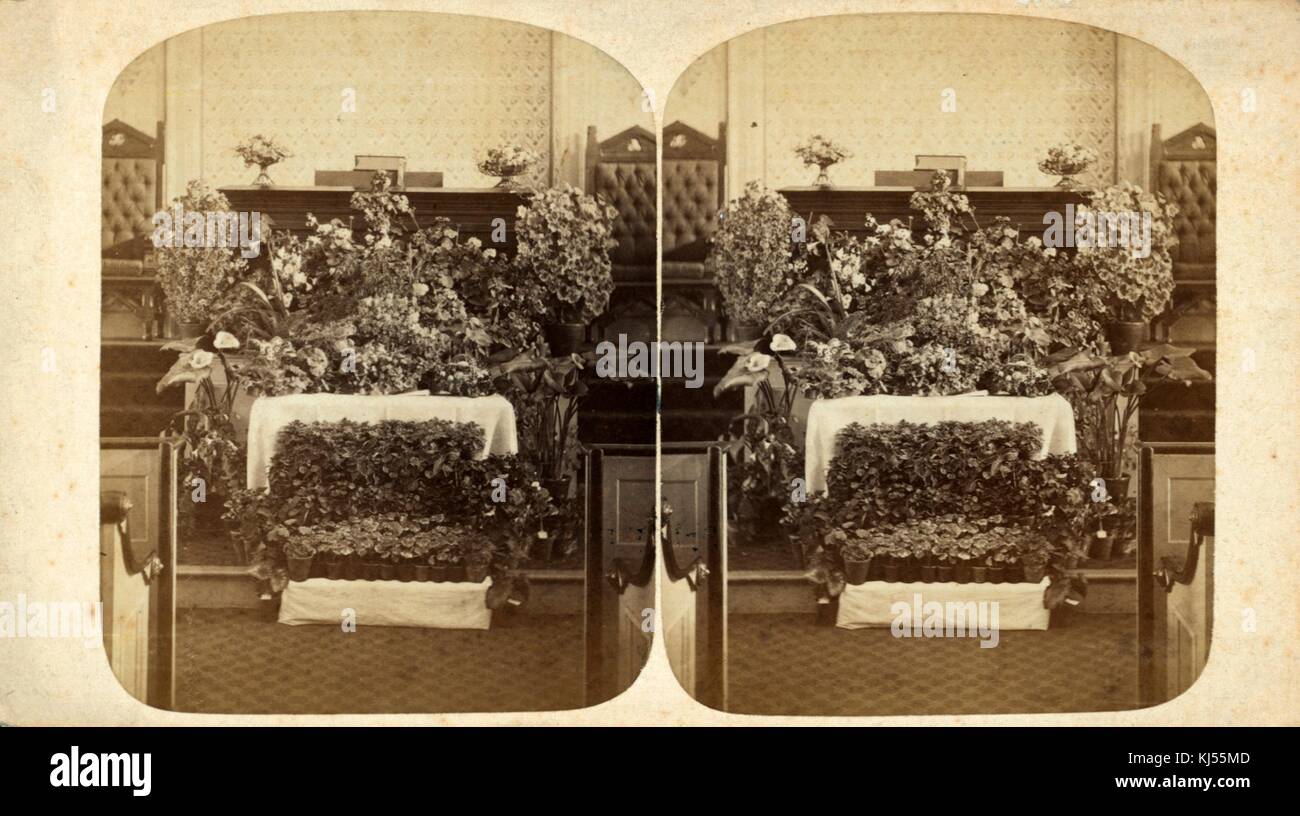 A stereograph of a large decorative flower display situated at the front of a church during Easter celebrations, pews can be seen at the end of the center aisle, two chairs can be seen at the sides of the pulpit, Burlington, Vermont, 1895. From the New York Public Library. Stock Photo