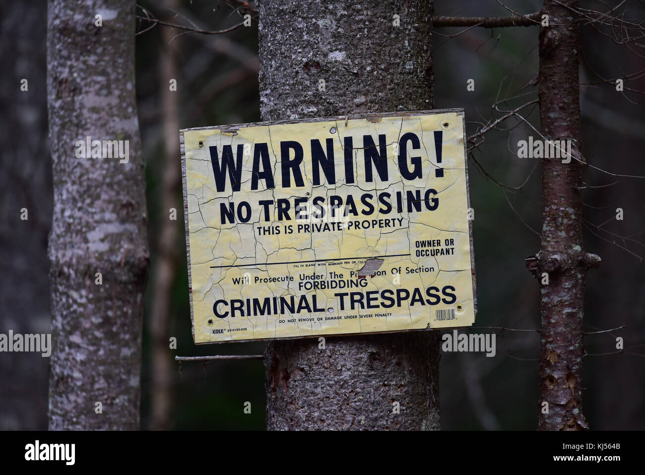 Old deteriorating no trespassing sign on a tree in the forest. Stock Photo