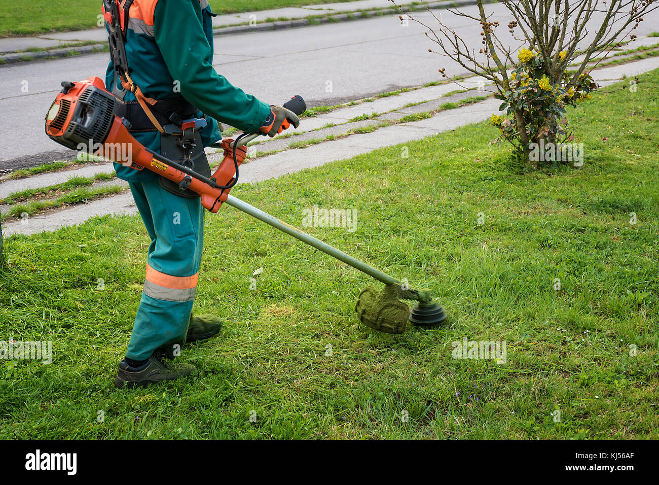 Man in overall and safety helmet trims overgrown grass by grass cutter Stock Photo