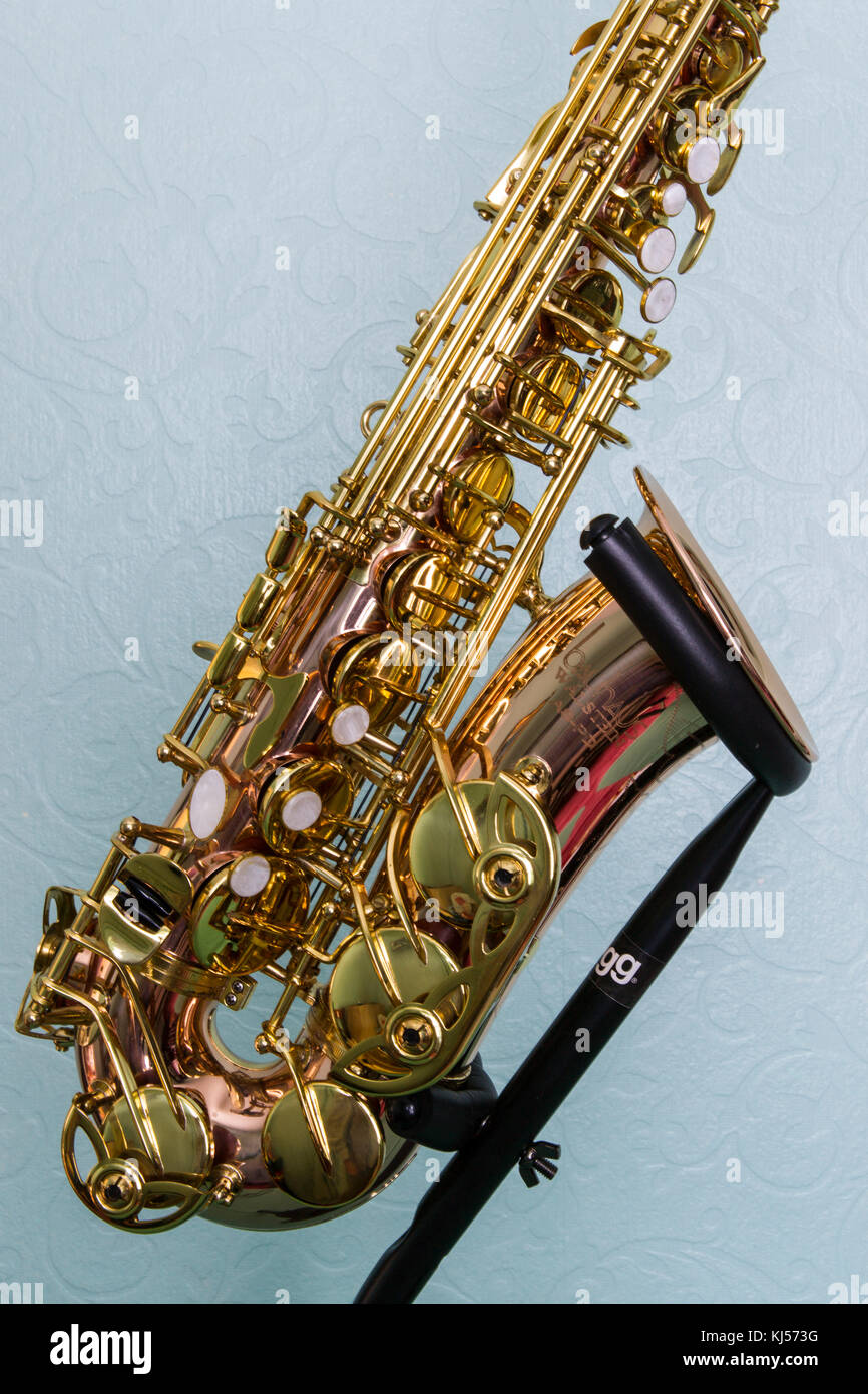 Bauhaus walstein alto sax hi res stock photography and images Alamy