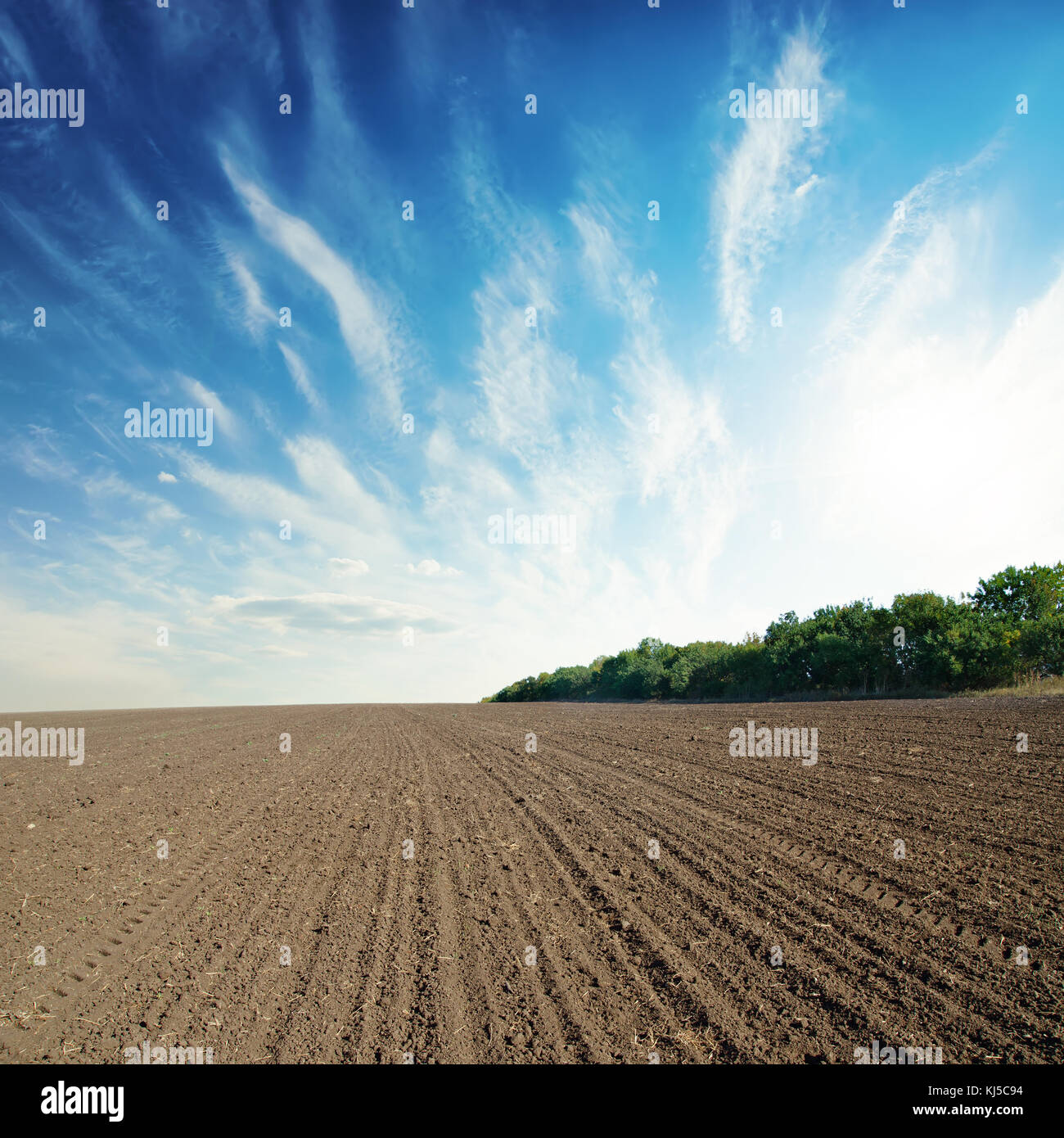 black agricultural field and blue sky with clouds Stock Photo - Alamy