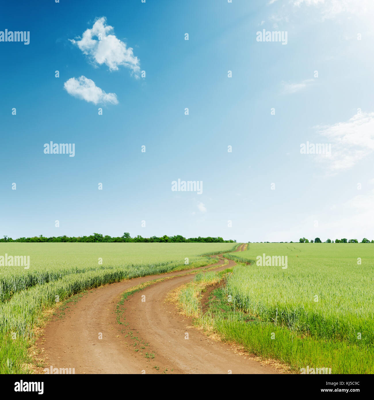 road in green field and blue sky Stock Photo - Alamy