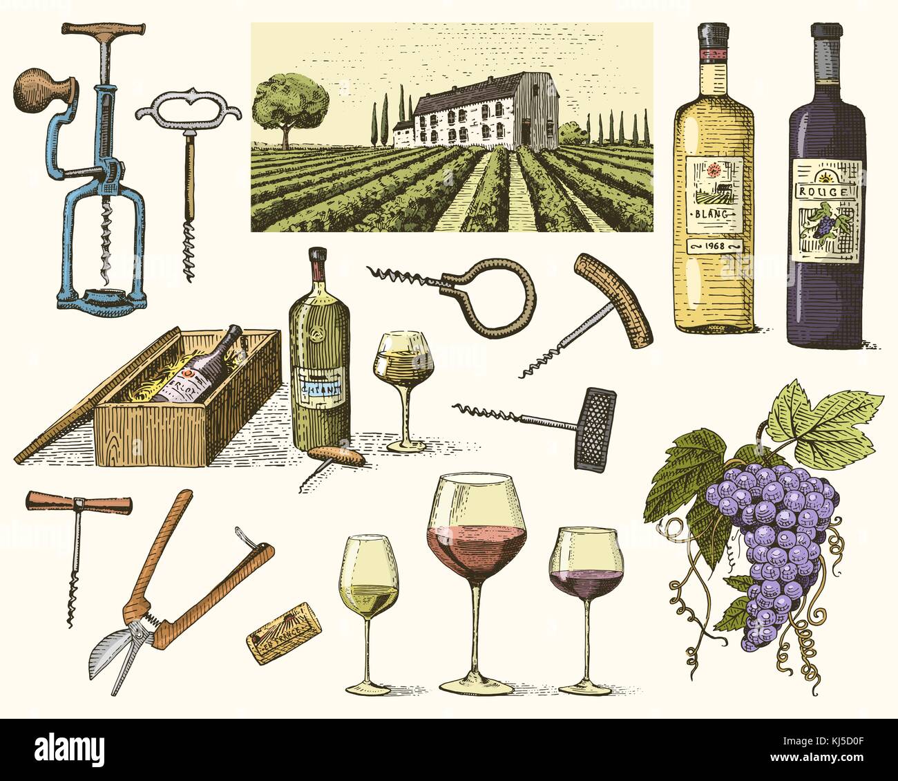 Corkscrews white background Stock Vector Images - Alamy