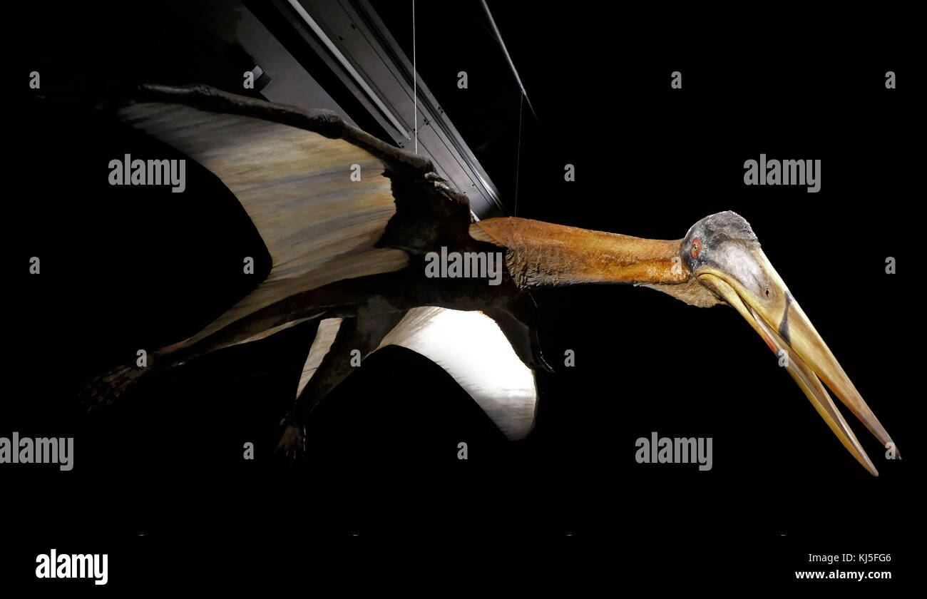 Pterodactyl stock photo. Image of brutal, archeopteryx - 45412668