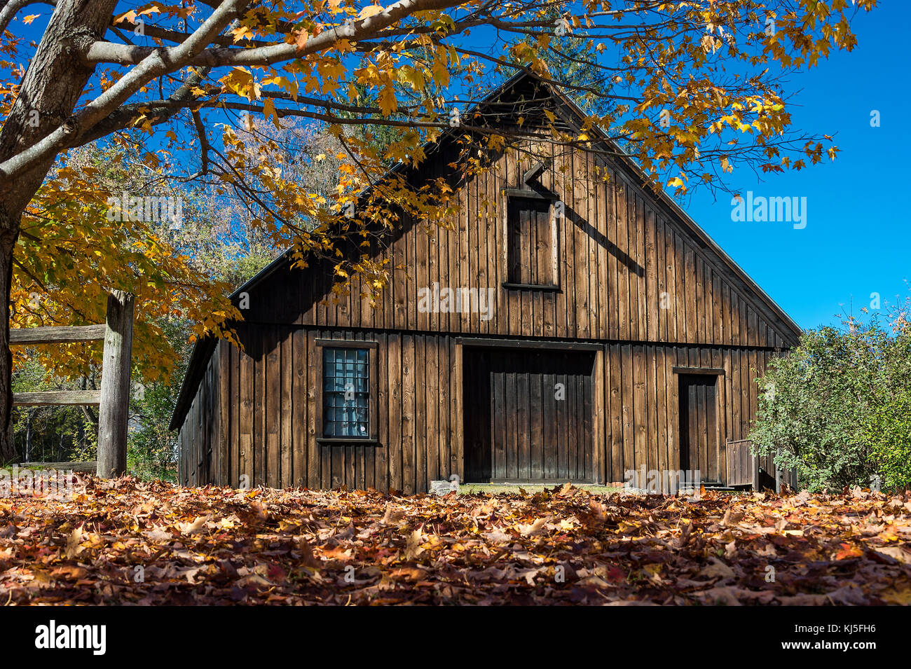 Rustic autumn barn, Woodstock, Vermont, USA. Stock Photo