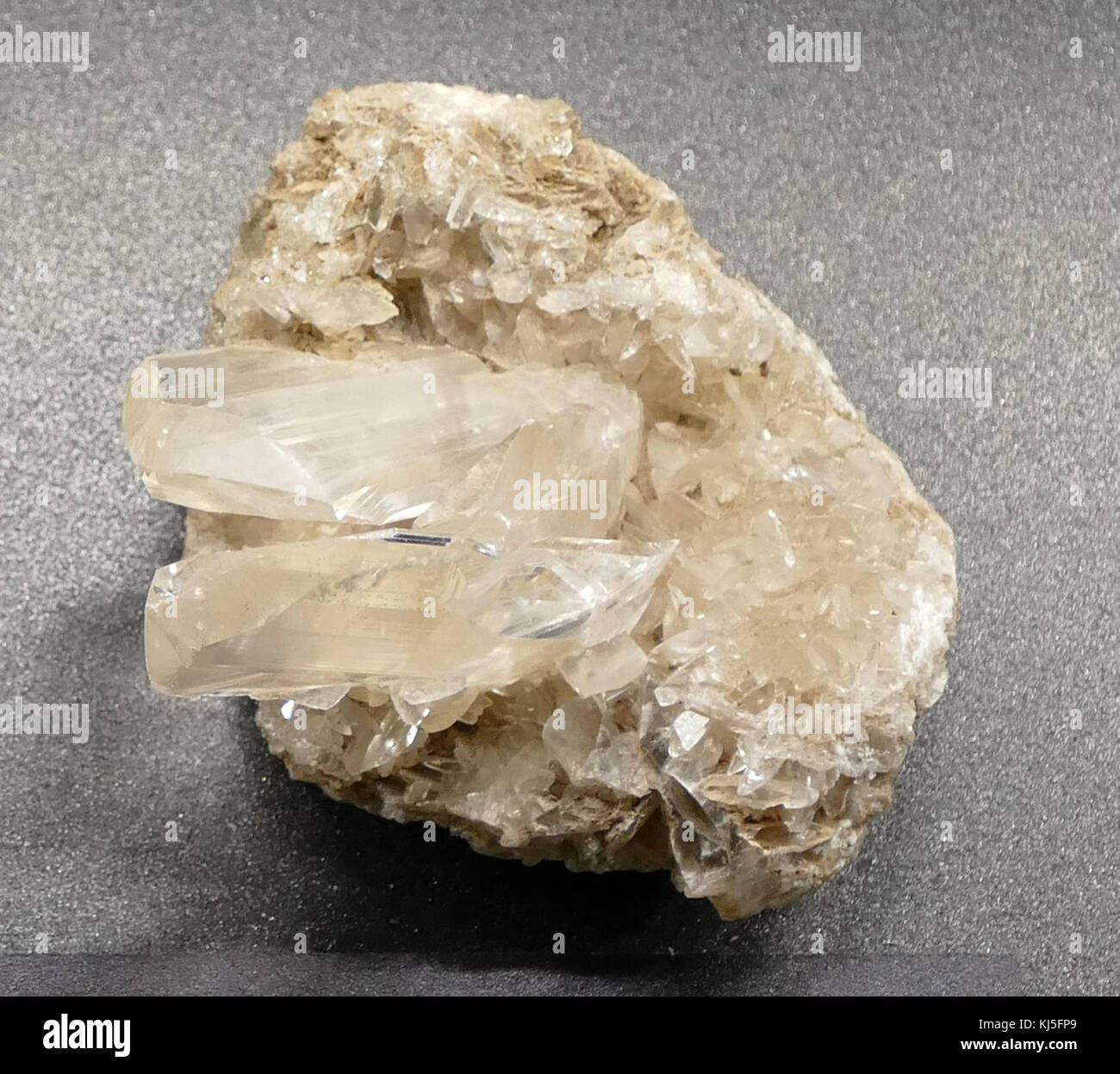 is-gypsum-toxic-to-dogs