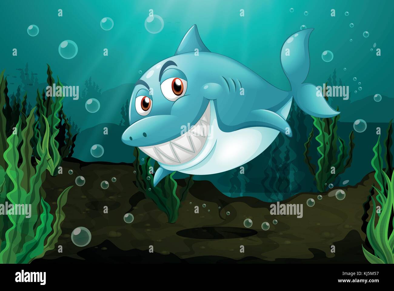 lllustration of a smiling shark Stock Vector Image & Art - Alamy