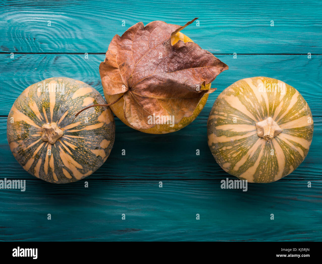 Moody green autumn background with pumpkins, yellow leaves. Fall still ...