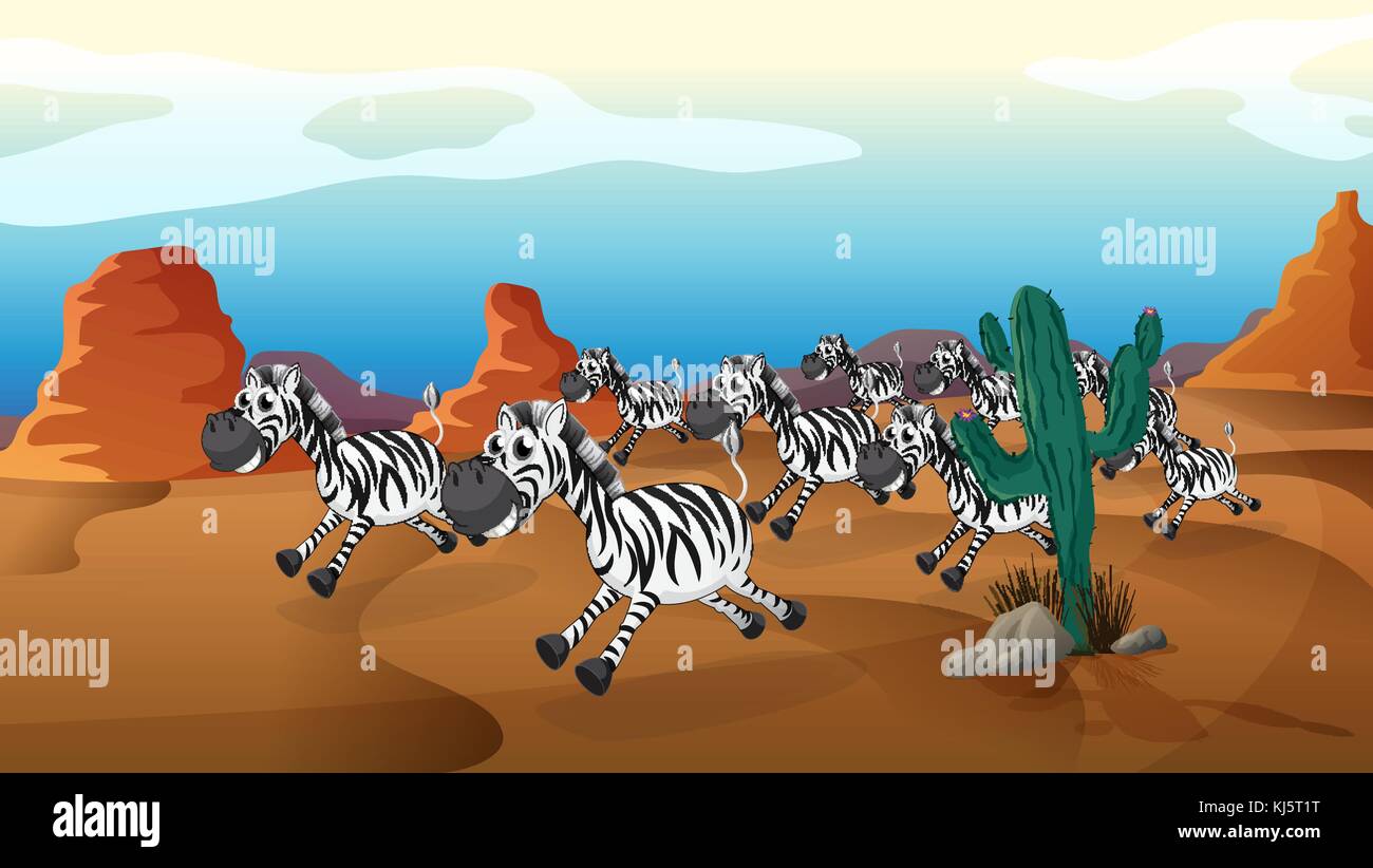 Illustration of a group of zebra running at the desert Stock Vector ...