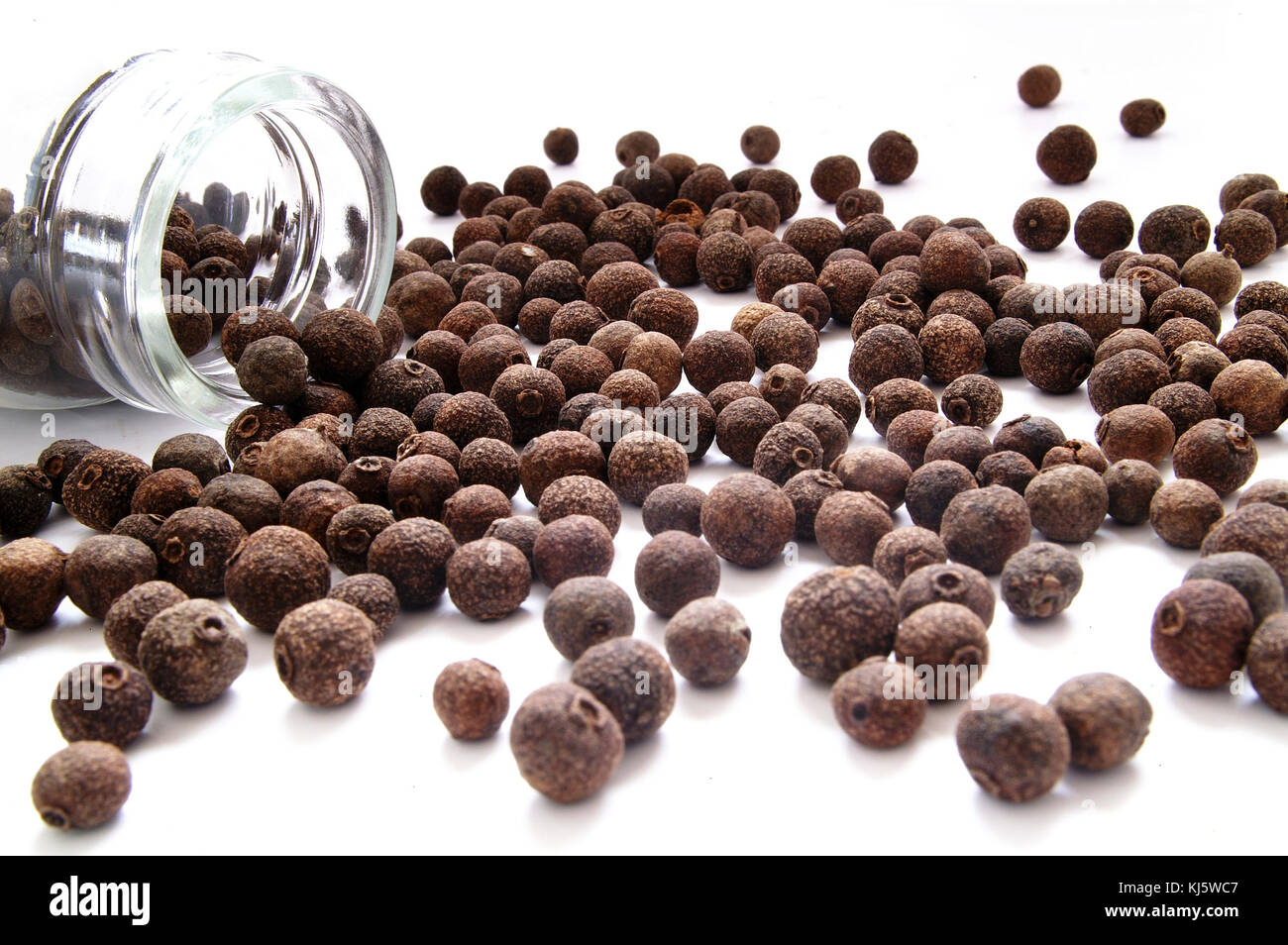 allspice pimento whole loose Stock Photo Alamy