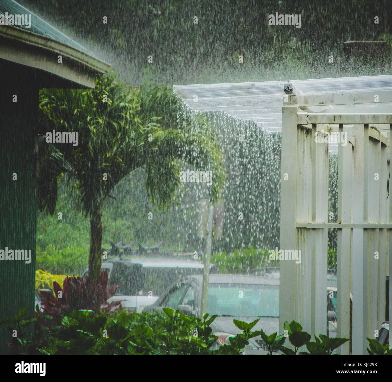 Beautiful heavy tropical rain storm on the island of Kauai in