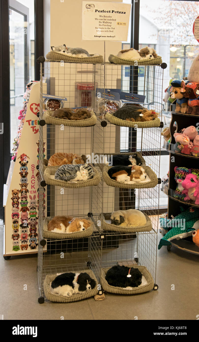 PERFECT PETZZZ, imitation cats and dogs for sale at Gizmos & Gadgets at the Tanger Outlet Mall in Deer Park, Long Island, New York. Stock Photo