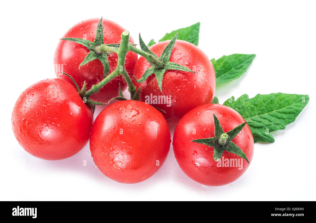 Сherry tomato with water drops. White background Stock Photo - Alamy