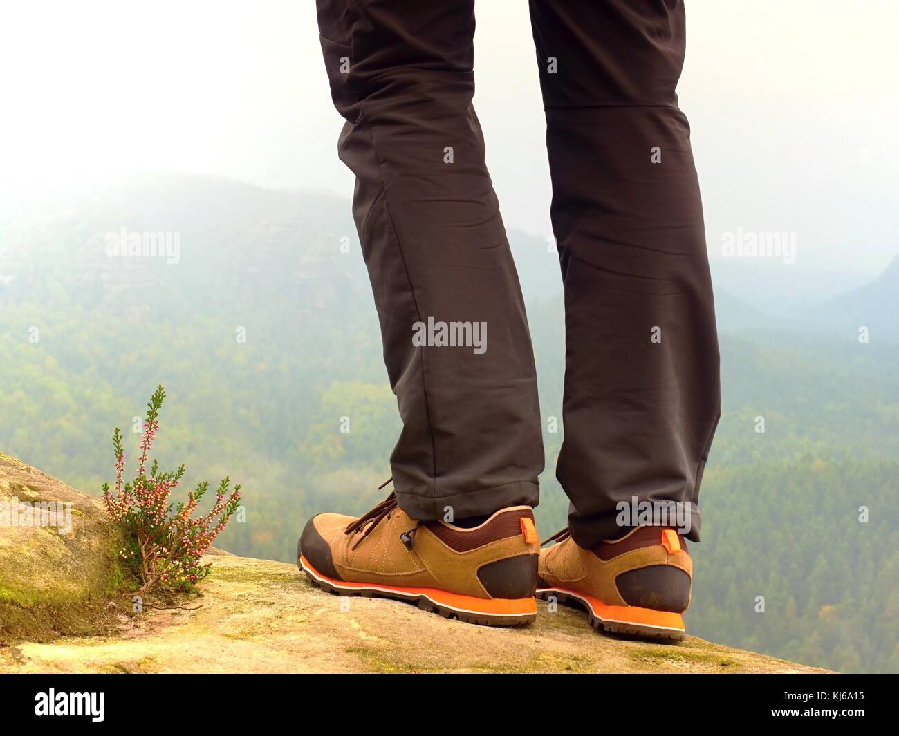 comfortable shoes to stand in