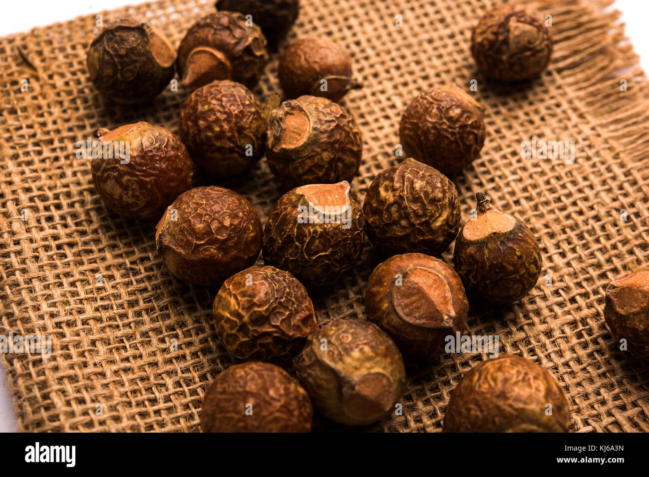 Raw Aritha or Reetha fruit also known as Soap-nuts which is the main ingredient in any soaps and shampoos. Also known as Sapindus emarginatus. selecti Stock Photo