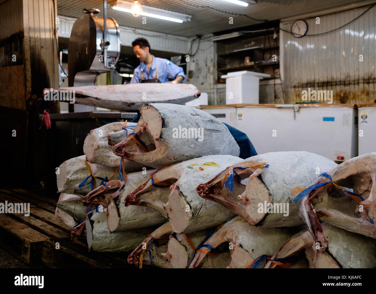 Fish market in Tokyo with lots of Tuna fishes. Stock Photo