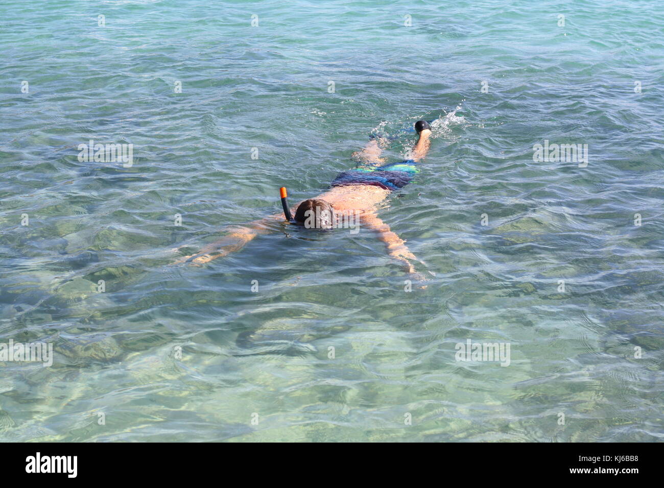 A snorkel diving in the beach sea water, to find shells and observe fish. Stock Photo