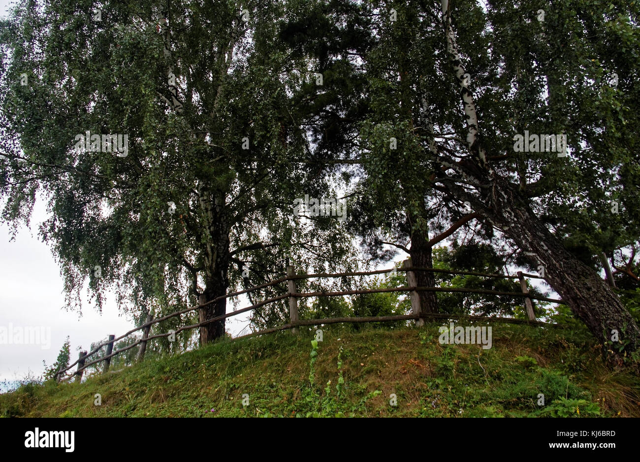 fencing of rural cemeteries in the summer , Russia Stock Photo - Alamy