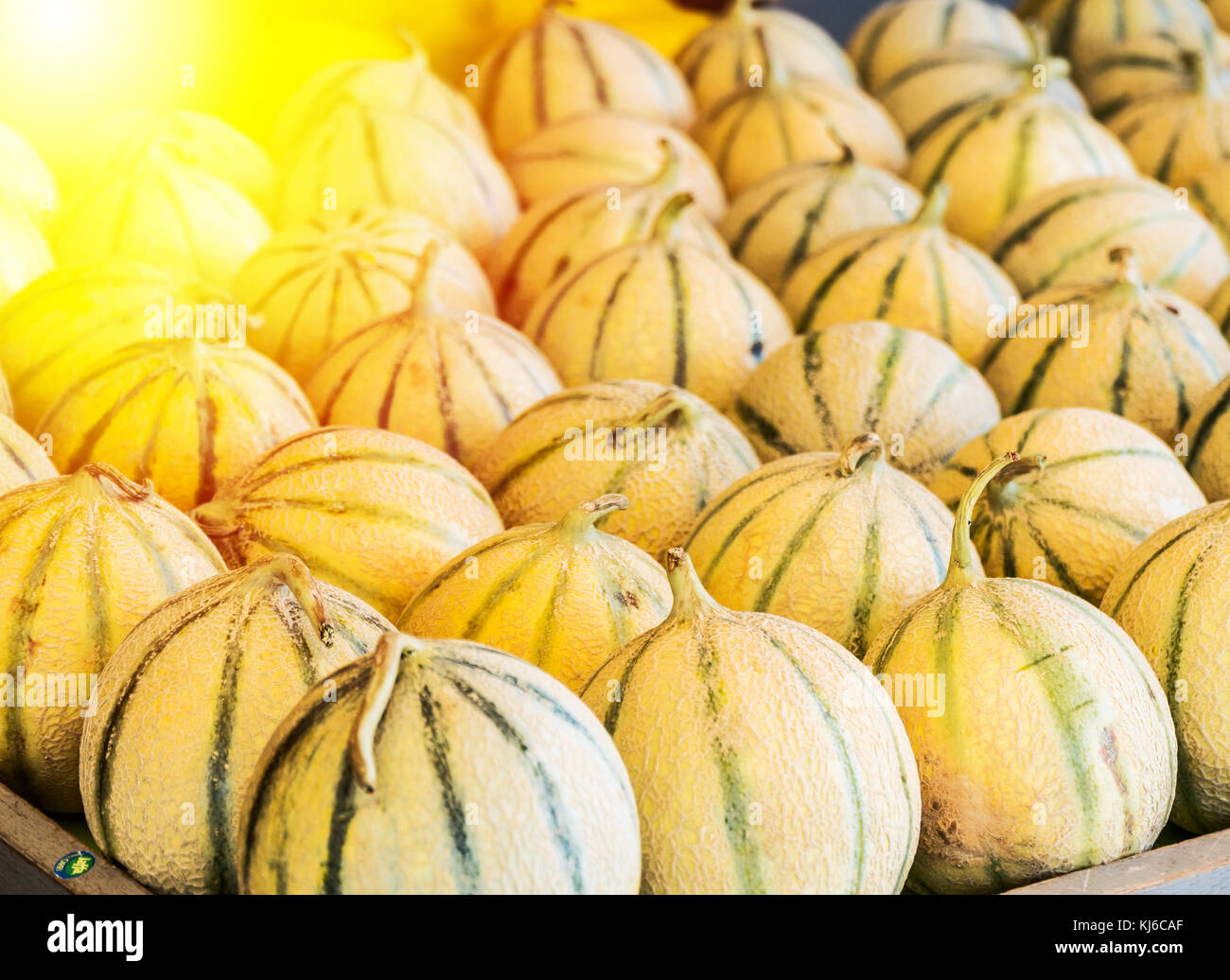 Ripe cantaloupe melons. Food background. Stock Photo