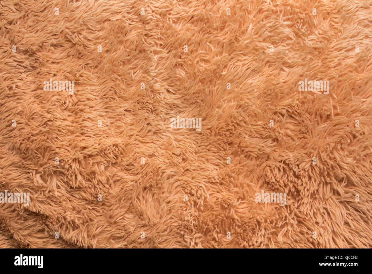 fluffy carpet floor texture, concept for designers Stock Photo Alamy