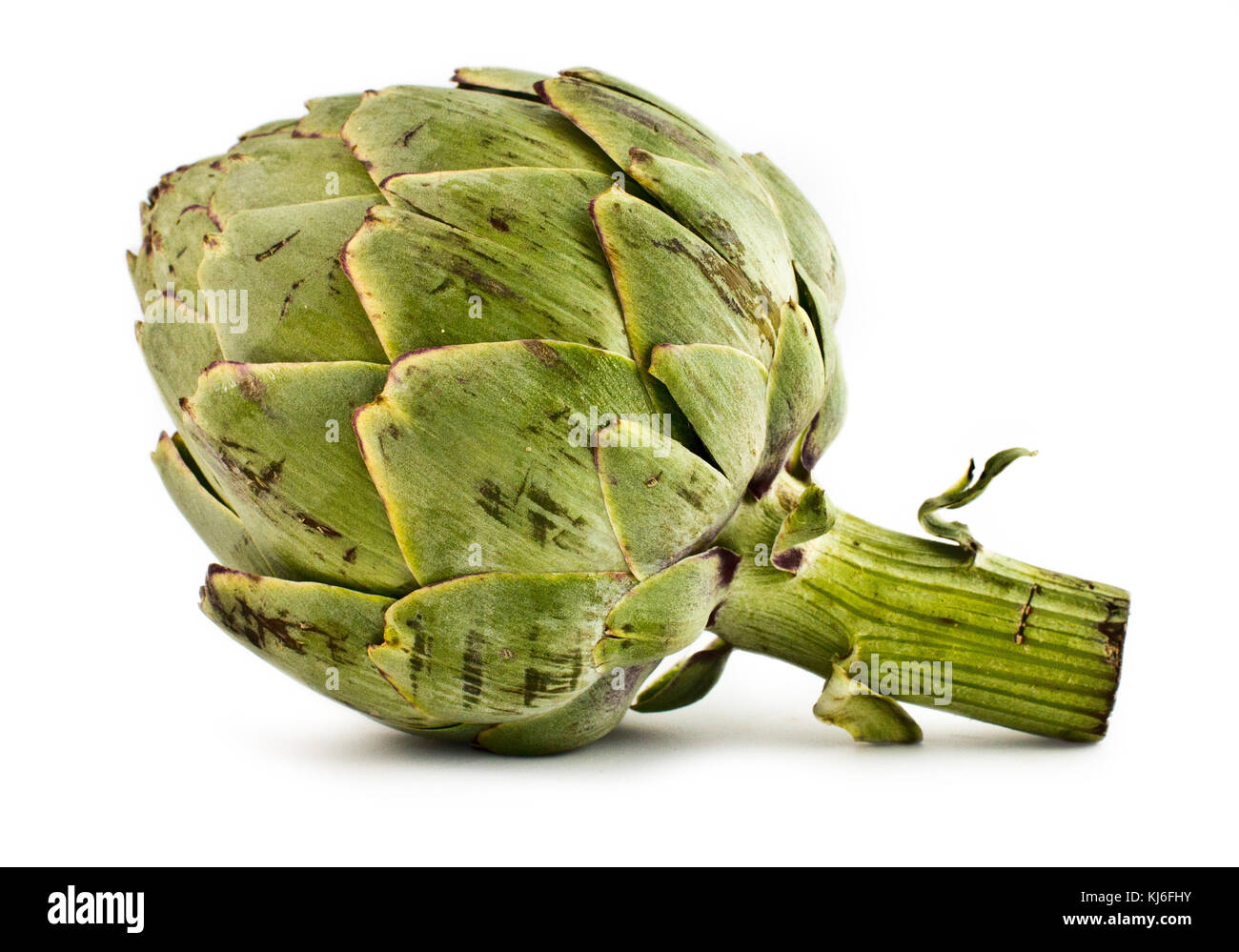 Baby Artichoke Stock Photo Alamy