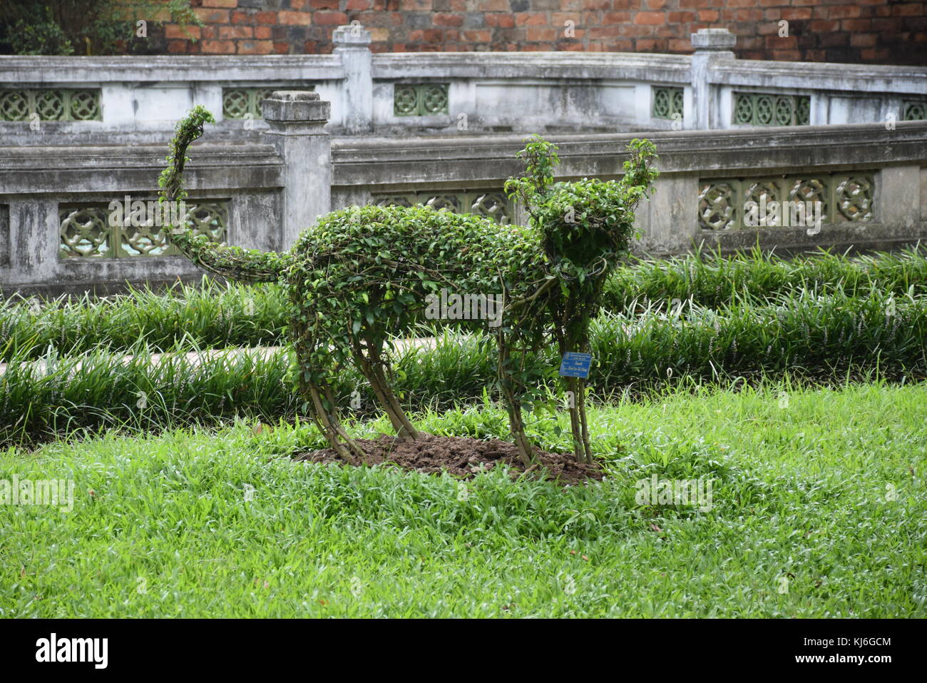 Topiary art inside temple of literature in Hanoi, Vietnam Stock Photo