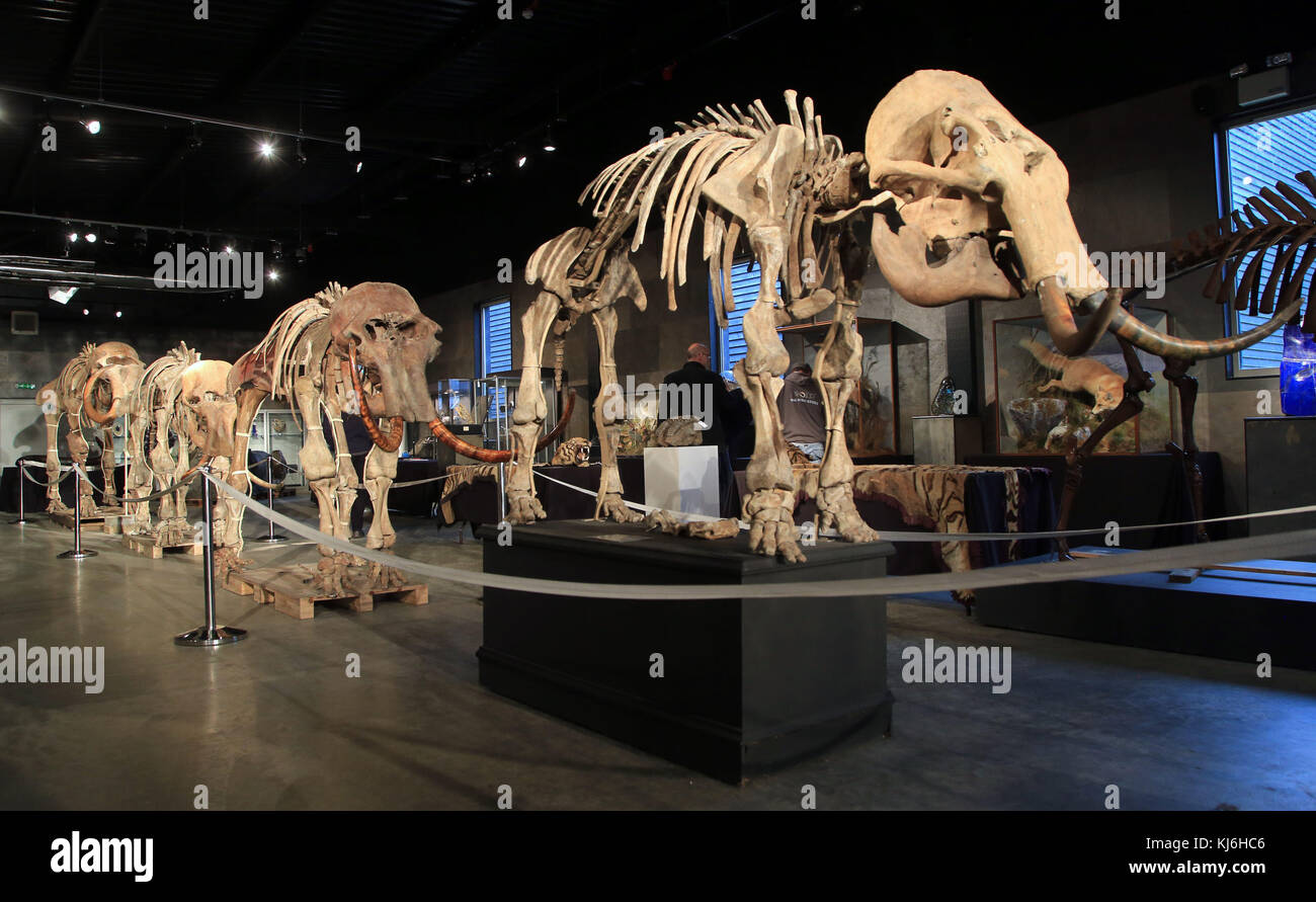 A view of the sale room at Summers Place Auctions in Billingshurst