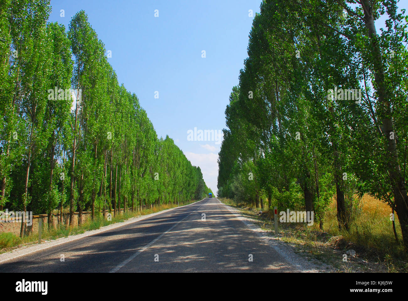 Greenery road side view hi-res stock photography and images - Alamy