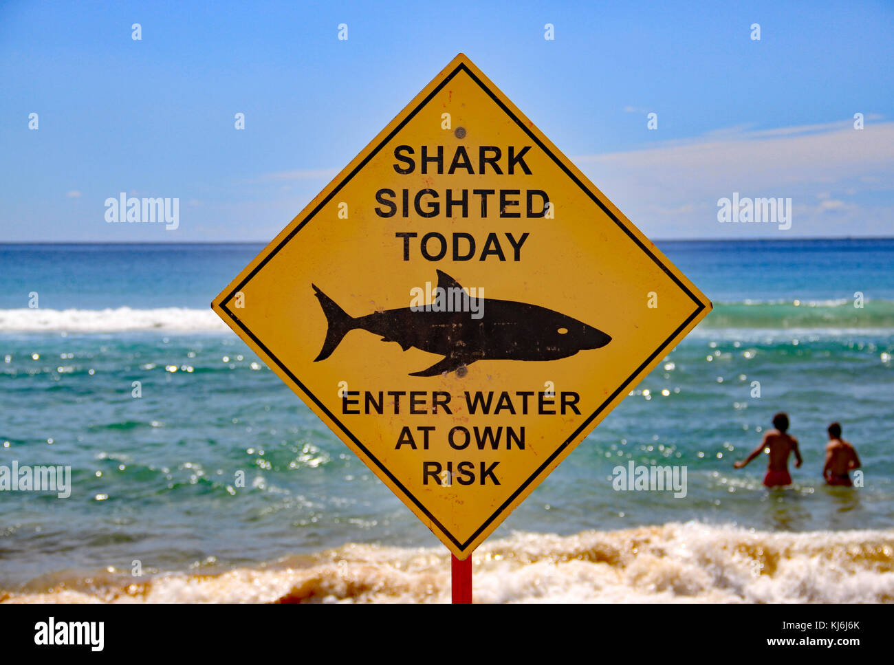 Shark Warning Notice. Manly Beach. Australia Stock Photo Alamy