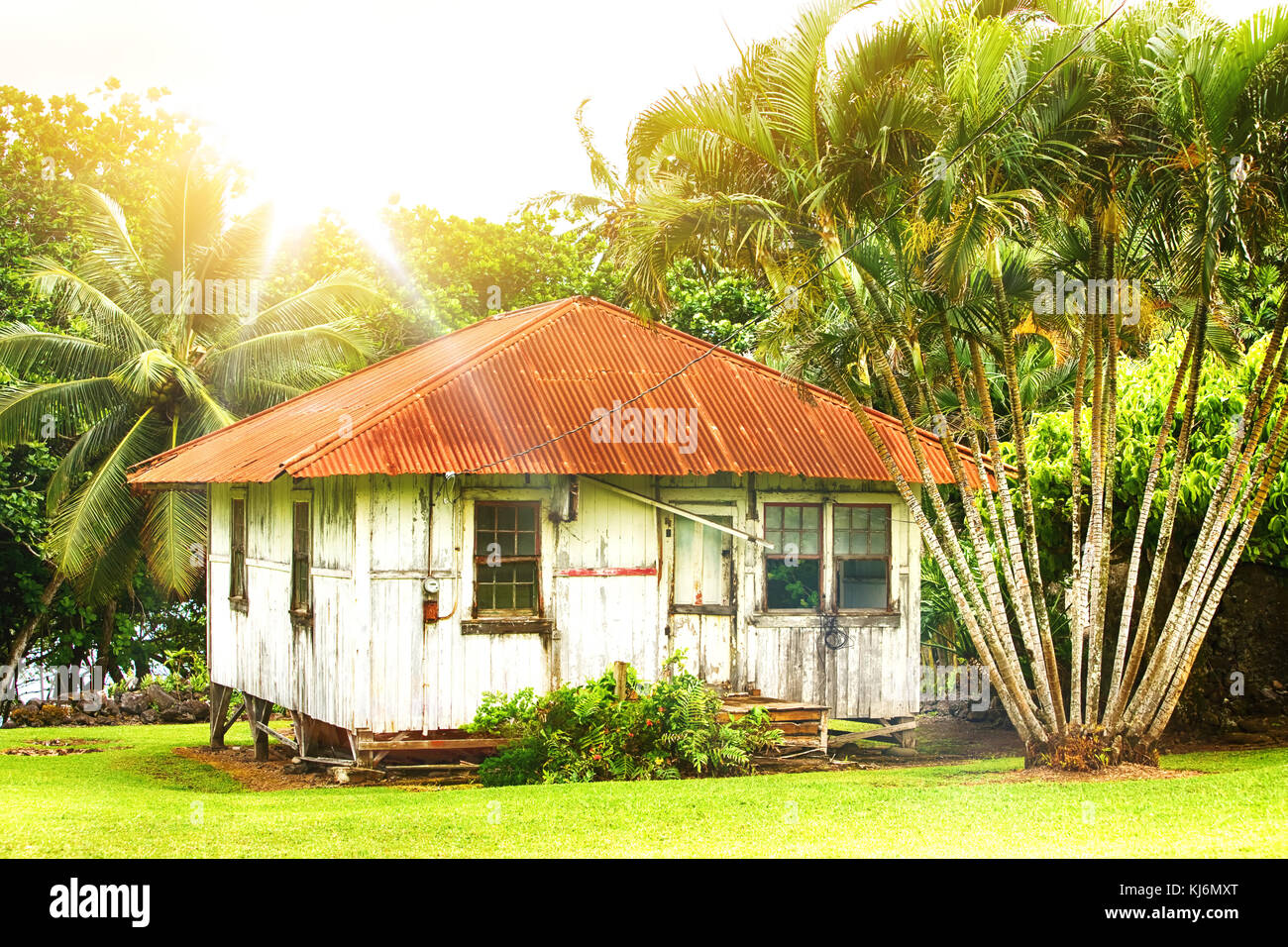 洋書 The Hawaiian House One of Hawaii's Renowned Architects