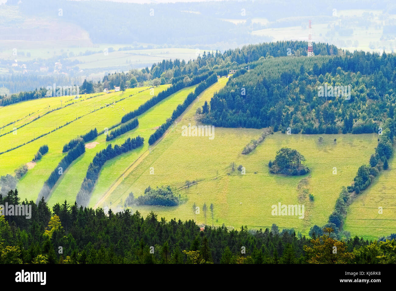 Hill slope covered with green grass and spruce trees in the Owl Mountains, Sudetes, Poland. Farmland landscape with fields and meadow aerial view. Stock Photo