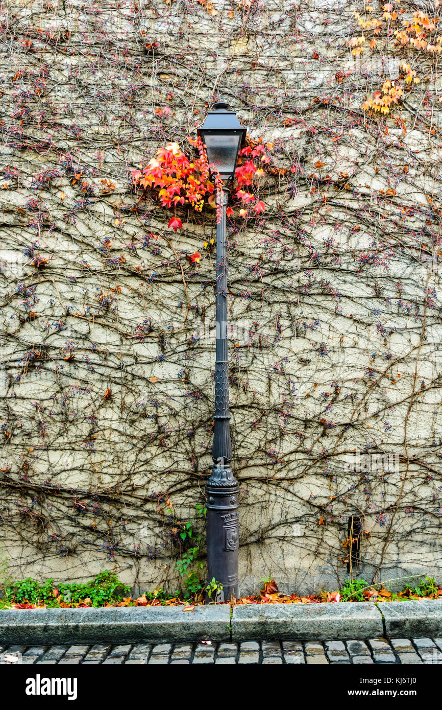 A vintage style lamp post against a wall covered with vine in a narrow