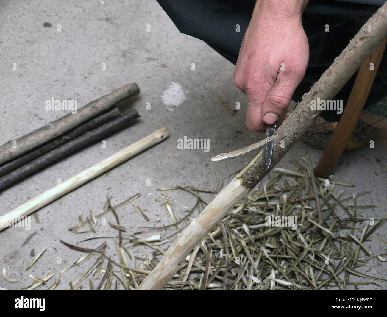 Peeling hazel tree sticks by folding pocket knife close up. Stock Photo