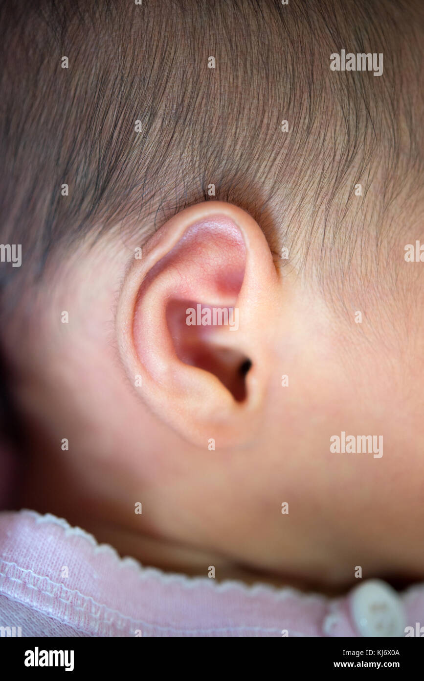 Newborn baby ear, close up Stock Photo Alamy