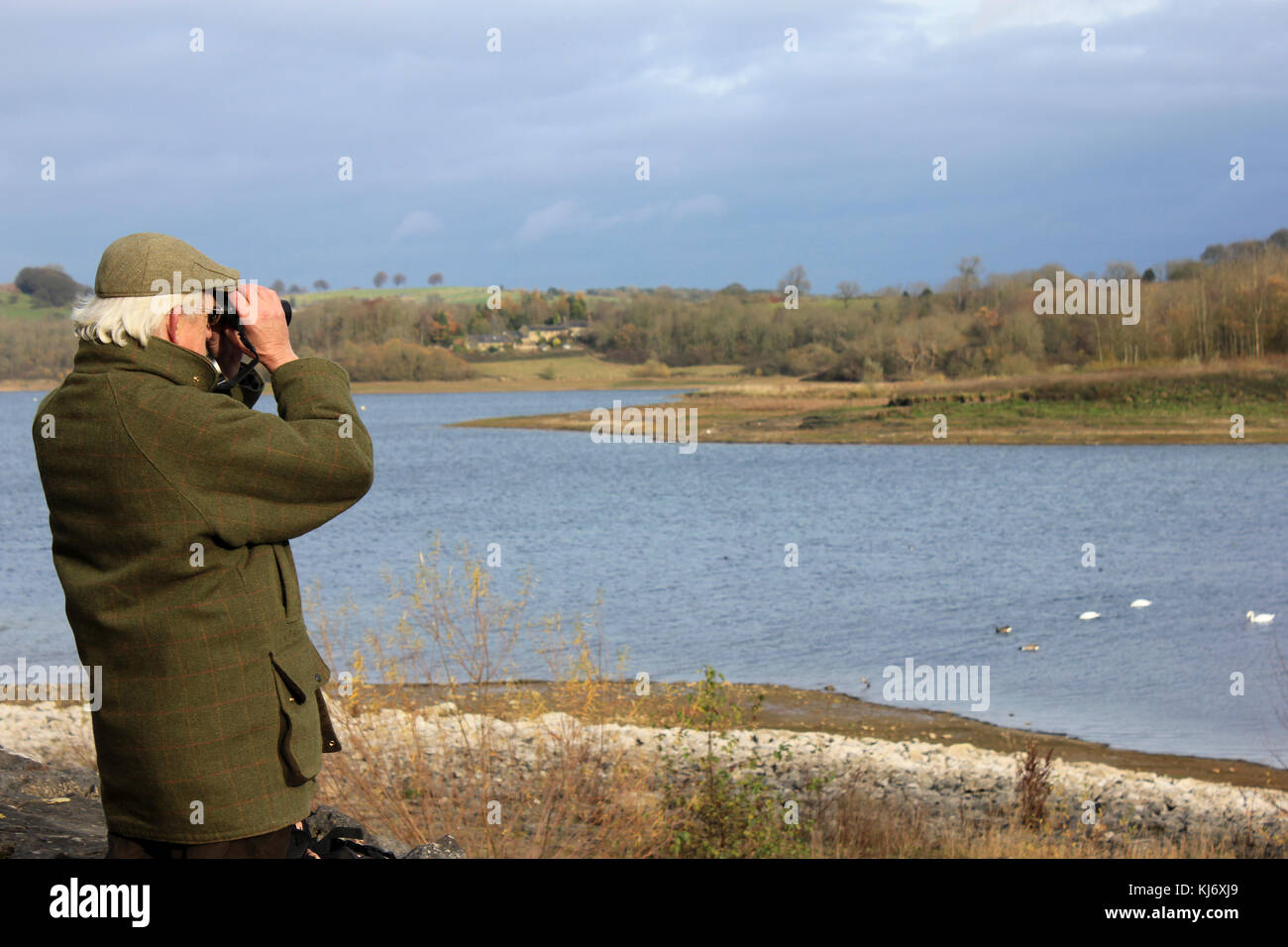 Senior Birdwatcher At Carsington Water Reservoir, UK Stock Photo