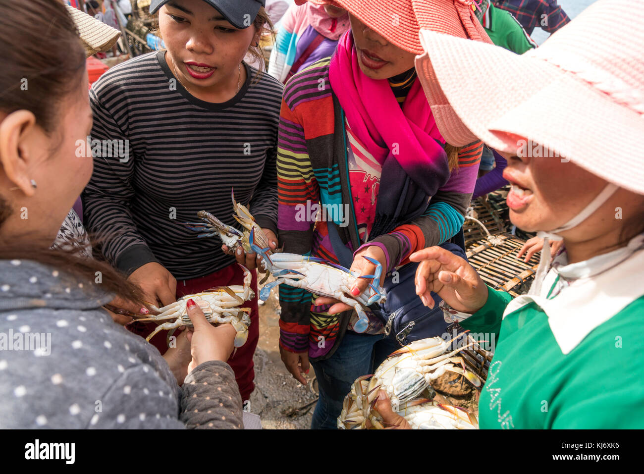 Frauen beim Einkauf auf dem Krabbenmarkt in Kep, Kambodscha, Asien  |  woman shopping at the crab market in Kep, Cambodia, Asia Stock Photo