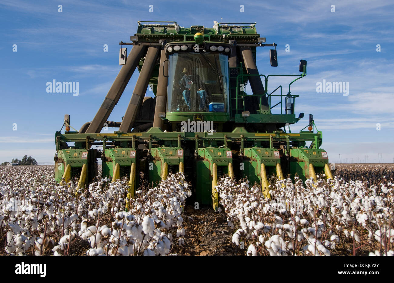 JOHN DEERE COTTON PICKER PICKING COTTON IN WEST TEXAS Stock Photo