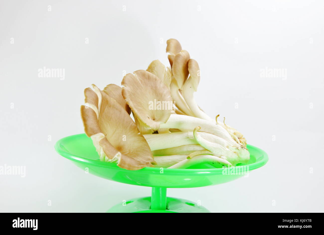 Indian mushroom on green weighing scale Stock Photo Alamy