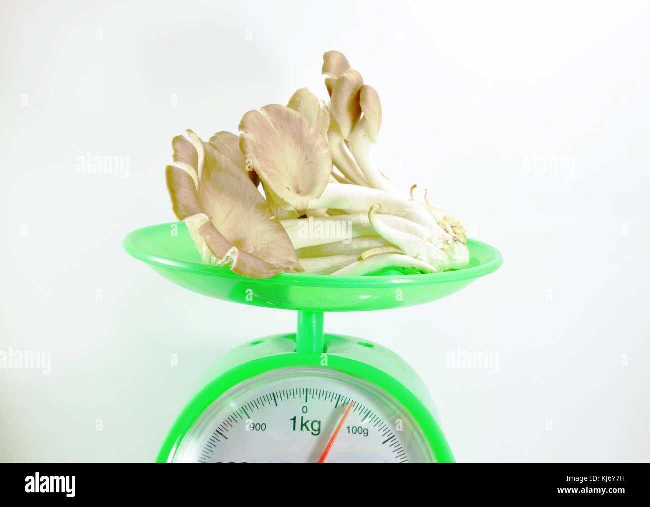 Indian mushroom on green weighing scale Stock Photo Alamy