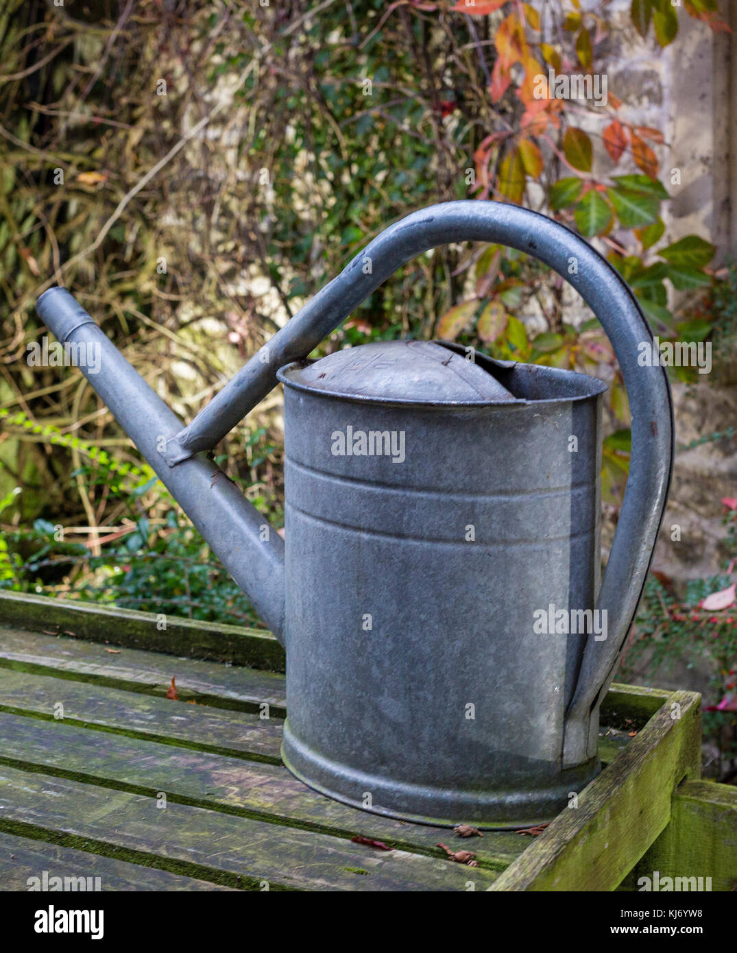 Old fashioned galvanized steel metal watering can Stock Photo Alamy