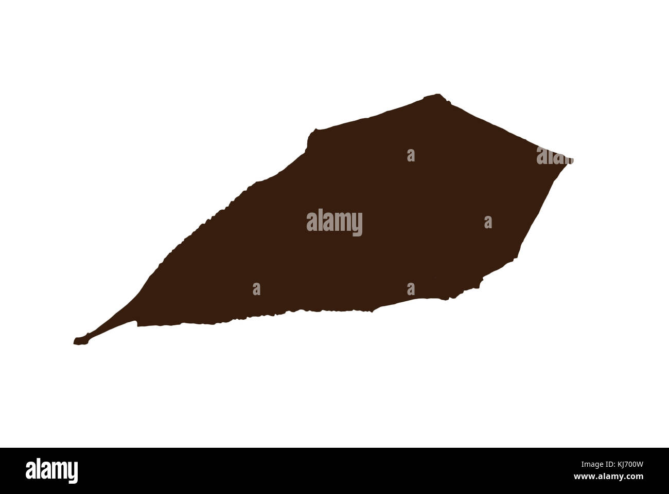 Brown shape of horsechestnut leaf isolated on the white background