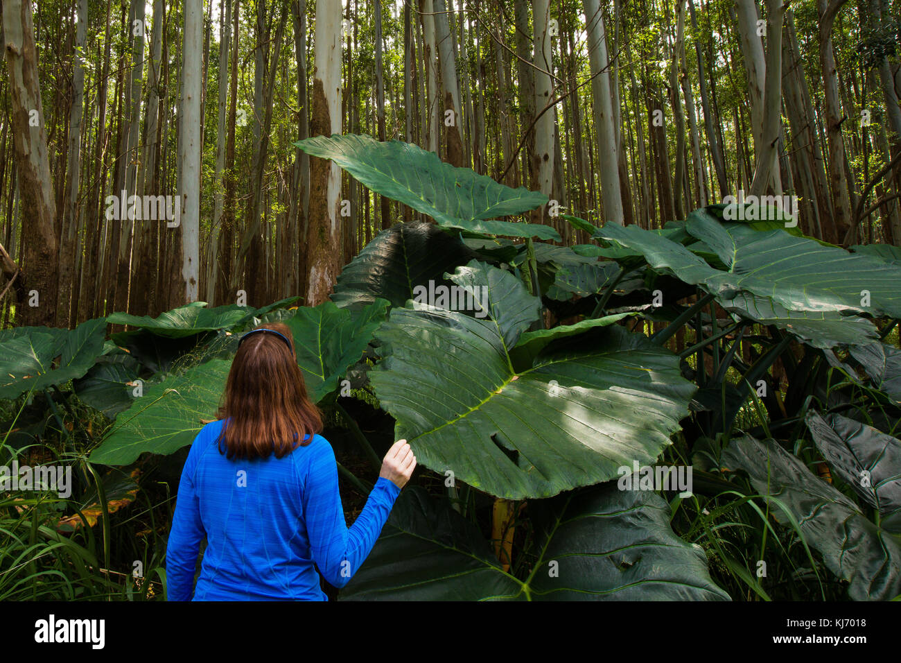 Woman in a blue shirt hi-res stock photography and images - Alamy