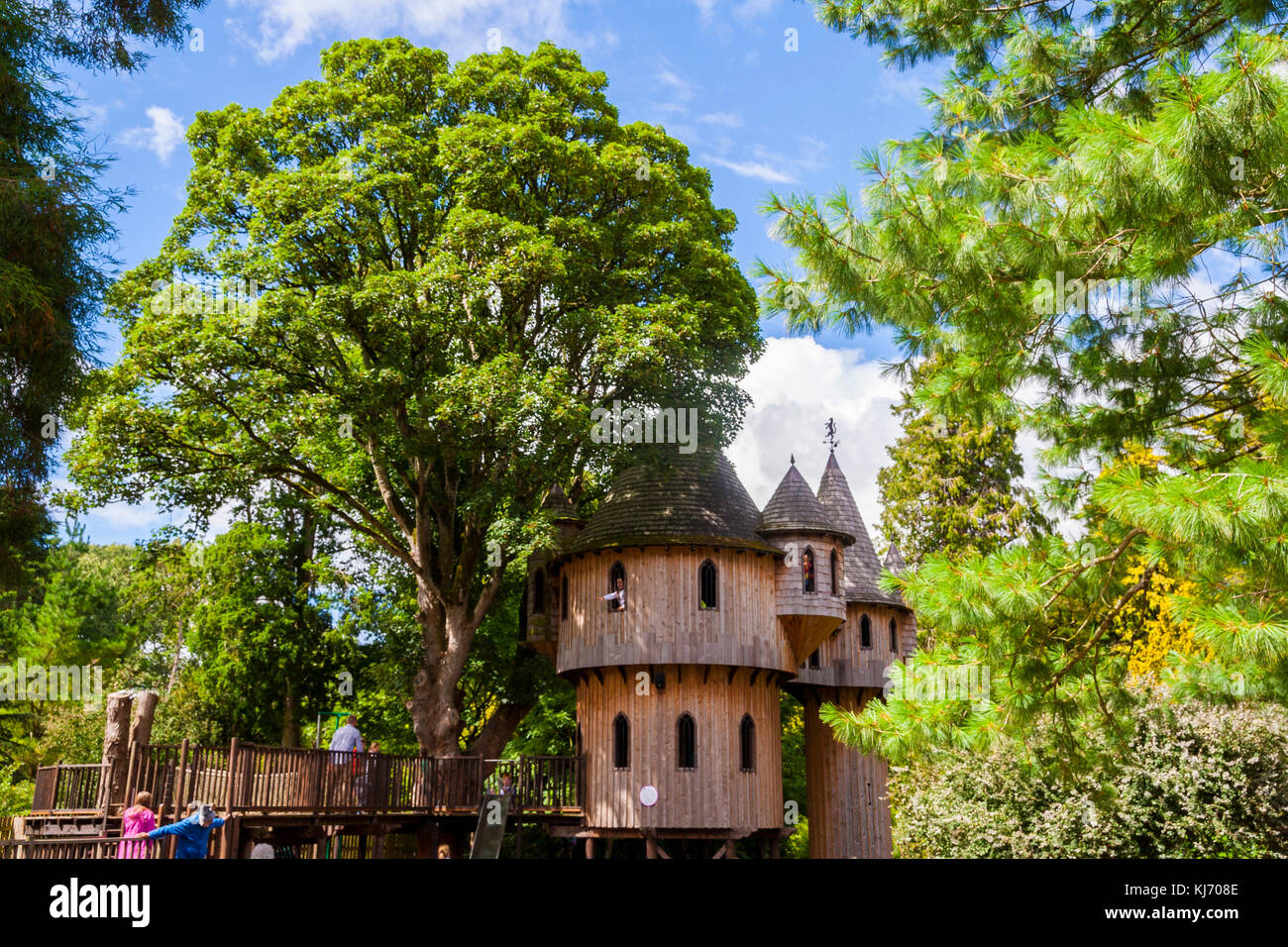 Ireland's largest treehouse at Birr Castle, Co. Offaly, wooden tree