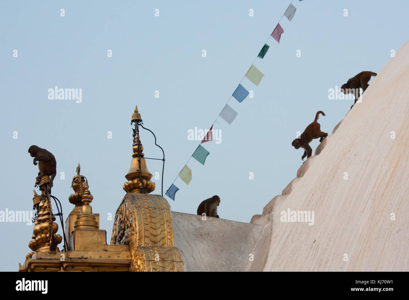 Swayambhunath (or Monkey Temple), is an ancient religious architecture atop a hill in the Kathmandu Valley. Nepal. Stock Photo