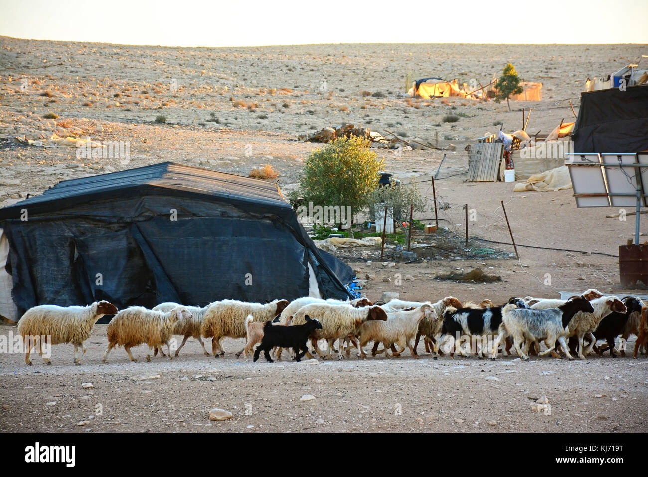 Bedouin village, Israel Stock Photo
