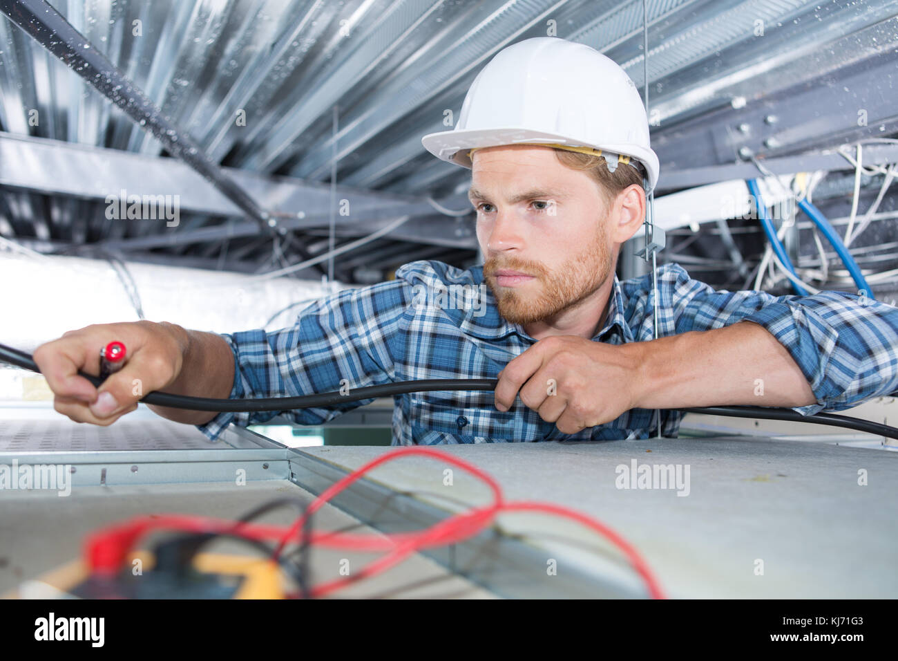 Picture of Electrician reaching into roof space Stock Photo - Alamy