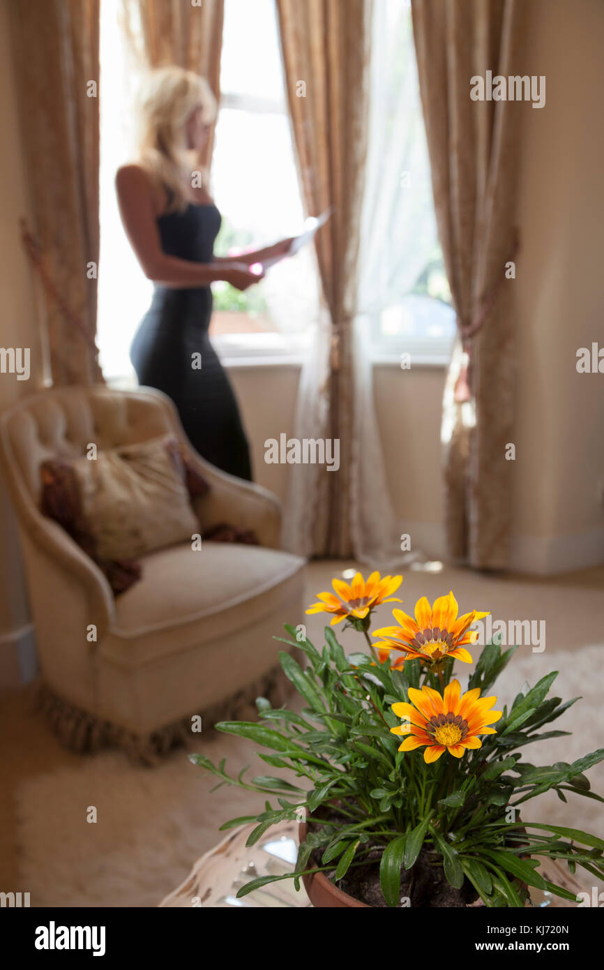Lady reading a letter in background with a potted flower plant in foreground.  Interior, modern. Stock Photo