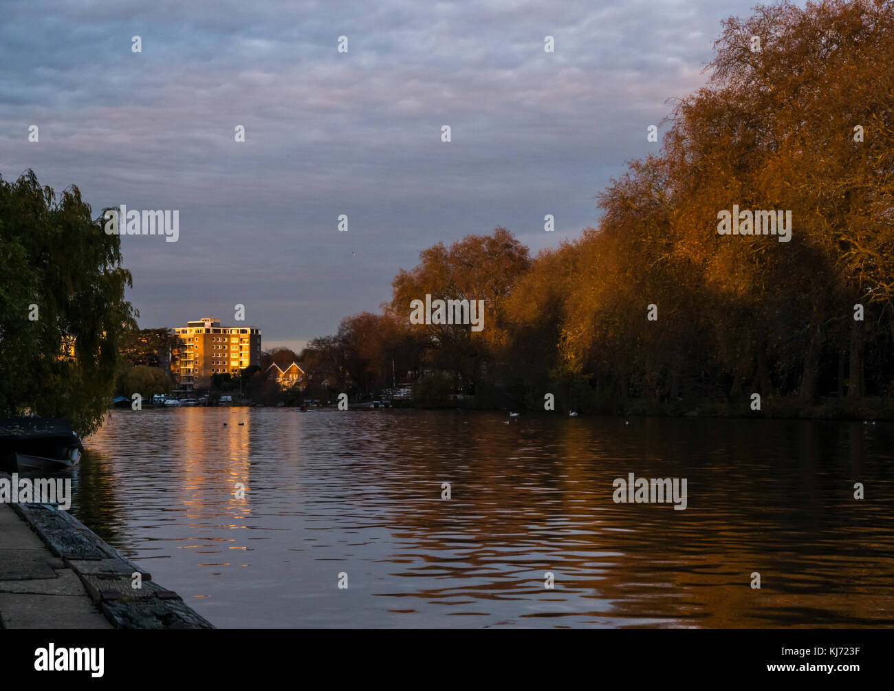 Autumn sunset colours on Thames River, Hampton Wick looking East down river to high modern apartment block reflected in the water, London, England, UK Stock Photo